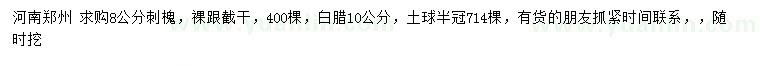 求購8公分刺槐、10公分白臘