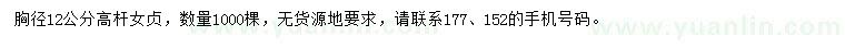 求購(gòu)胸徑12公分高桿女貞
