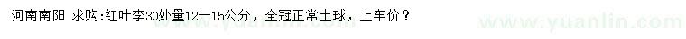 求購30處量12-15公分紅葉李