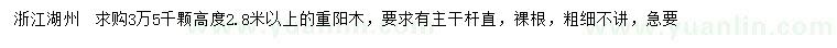 求購高2.8米以上重陽木