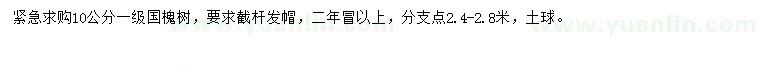 求購10公分國槐