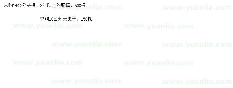 求購14公分法桐、10公分無患子