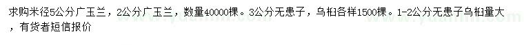 求購廣玉蘭、無患子、烏桕