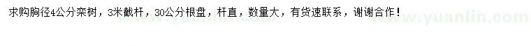 求購胸徑4公分欒樹