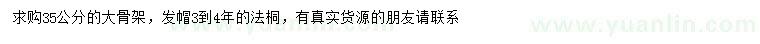 求購35公分法桐