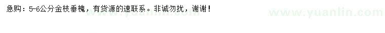 求購5-6公分金枝垂槐