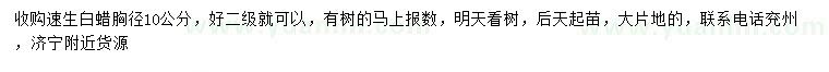 求購胸徑10公分速生白蠟