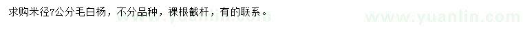 求購(gòu)米徑7公分毛白楊