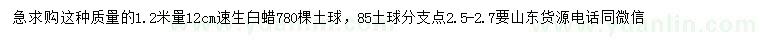 求購1.2米量12公分速生白蠟