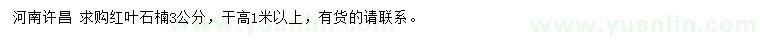 求購3公分紅葉石楠