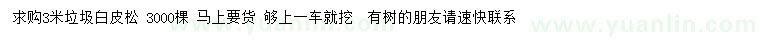 求購3米垃圾白皮松