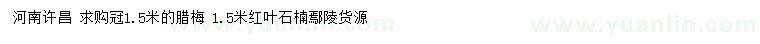 求購(gòu)冠幅1.5米臘梅、紅葉石楠