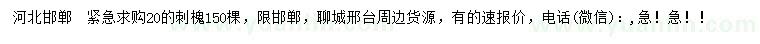 求購20公分刺槐