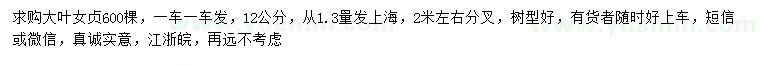 求購1.3量12公分大葉女貞