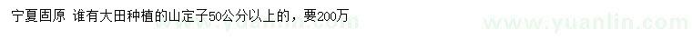 求購50公分以上山定子