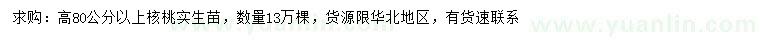 求購(gòu)高80公分以上核桃實(shí)生苗
