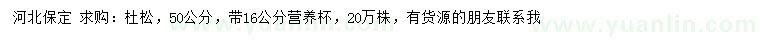 求購50公分杜松