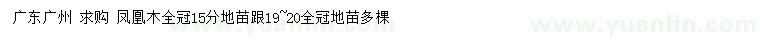 求購15、19-20公分鳳凰木