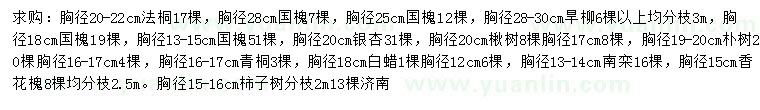 求購(gòu)法桐、國(guó)槐、旱柳等