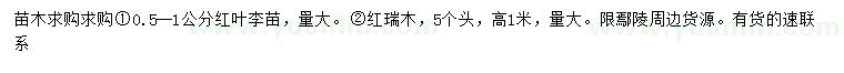 求購0.5-1公分紅葉李苗、5公分紅瑞木