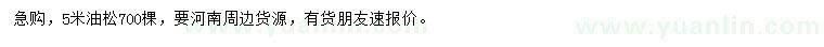求購(gòu)5米油松