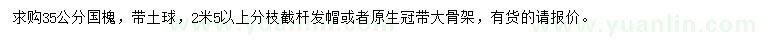 求購35公分國槐