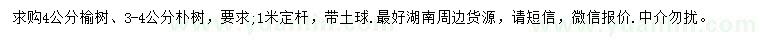 求購4公分榆樹、3-4公分樸樹