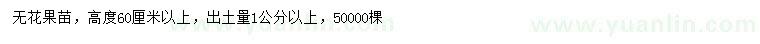 求購(gòu)出土量1公分以上無(wú)花果苗