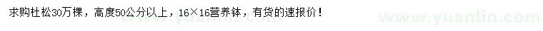 求購高50公分以上杜松