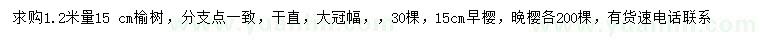 求購榆樹、早櫻、晚櫻