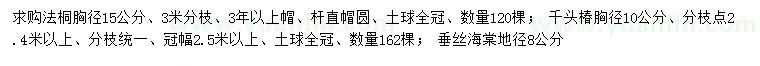 求購法桐數(shù)、千頭椿、垂絲海棠