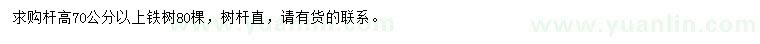 求購(gòu)桿高70公分以上鐵樹(shù)