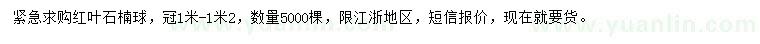 求購(gòu)冠幅1-1.2米紅葉石楠球