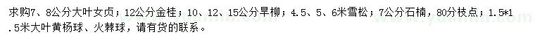 求購大葉女貞、金桂、旱柳等