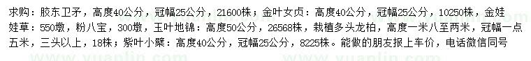求購膠東衛(wèi)矛、金葉女貞、金娃娃草等