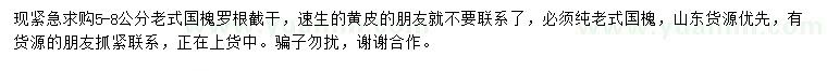 求購5-8公分老式國槐