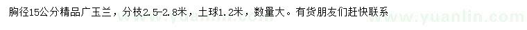 求購胸徑15公分廣玉蘭
