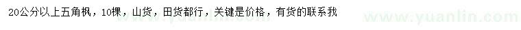 求購20公分以上五角楓