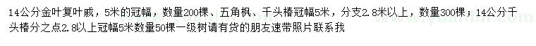 求購金葉復(fù)葉戚、五角楓、千頭椿