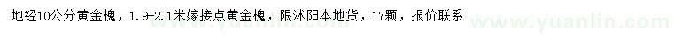 求購地經(jīng)10公分黃金槐