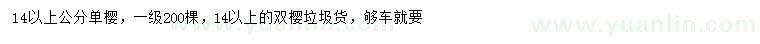 求購14以上公分單櫻、雙櫻