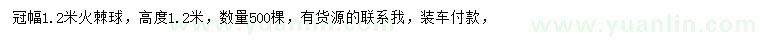求購冠幅1.2米火棘球