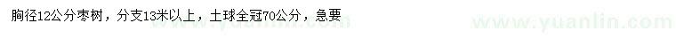 求購胸徑12公分棗樹