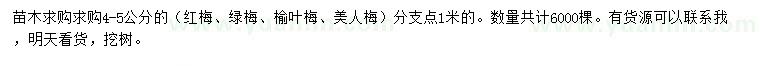 求購紅梅、綠梅、榆葉梅等