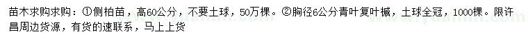 求購高60公分側(cè)柏苗、胸徑6公分青葉復(fù)葉槭