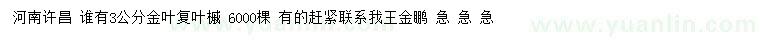 求購3公分金葉復葉槭