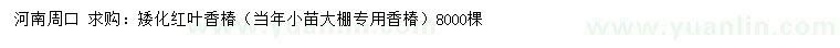 求購矮化紅葉香椿