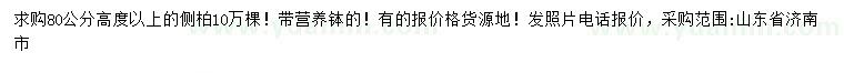 求購(gòu)高80公分以上側(cè)柏