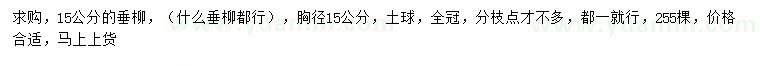 求購15公分垂柳