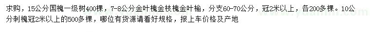 求購國槐、金葉槐、金枝槐等